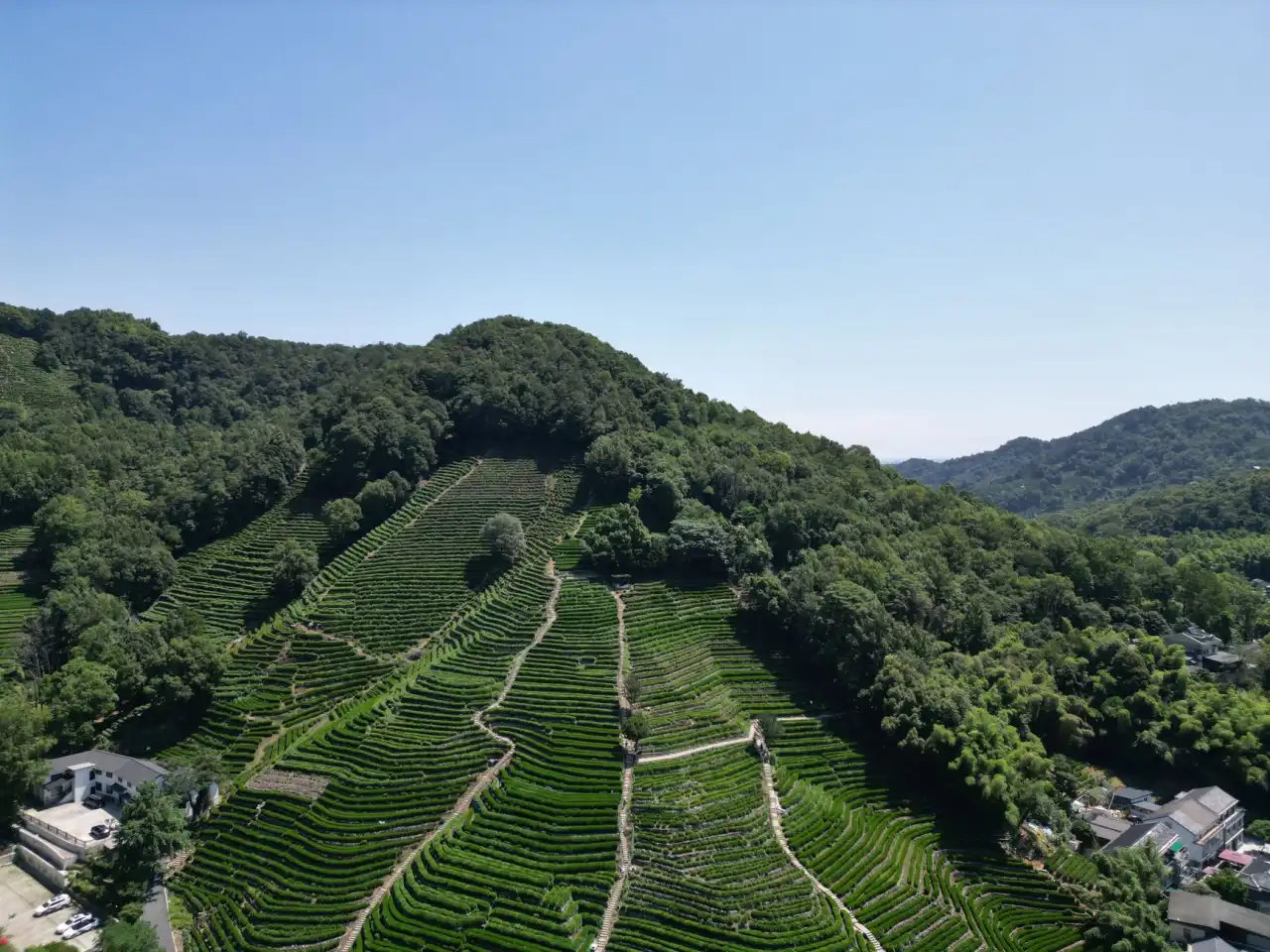 劳动仲裁案件代理服务对比：律时代与行业标准差异