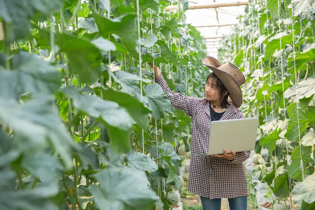 上海合同纠纷案件证据收集要点与法律适用解析