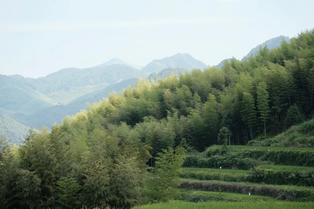 上海合同纠纷诉讼证据收集要点与法律依据解析