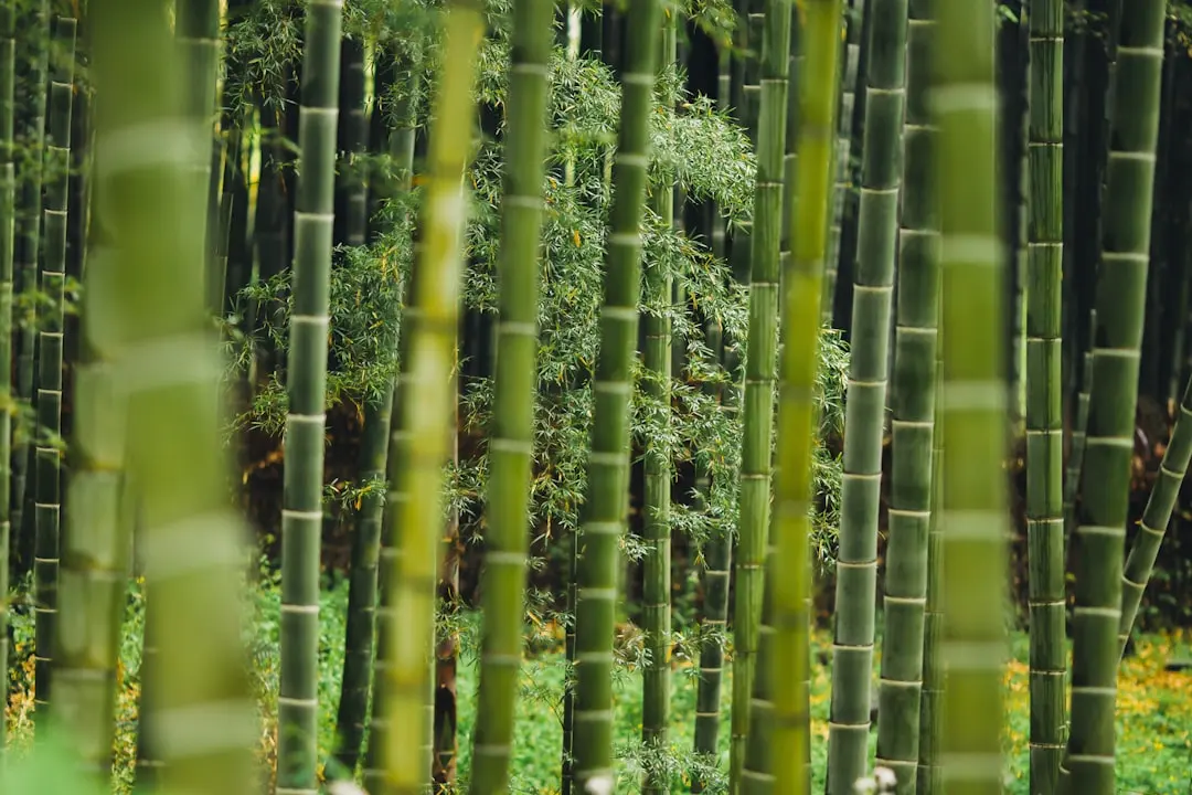 上海合同纠纷常见法律风险点及企业防范实务指南